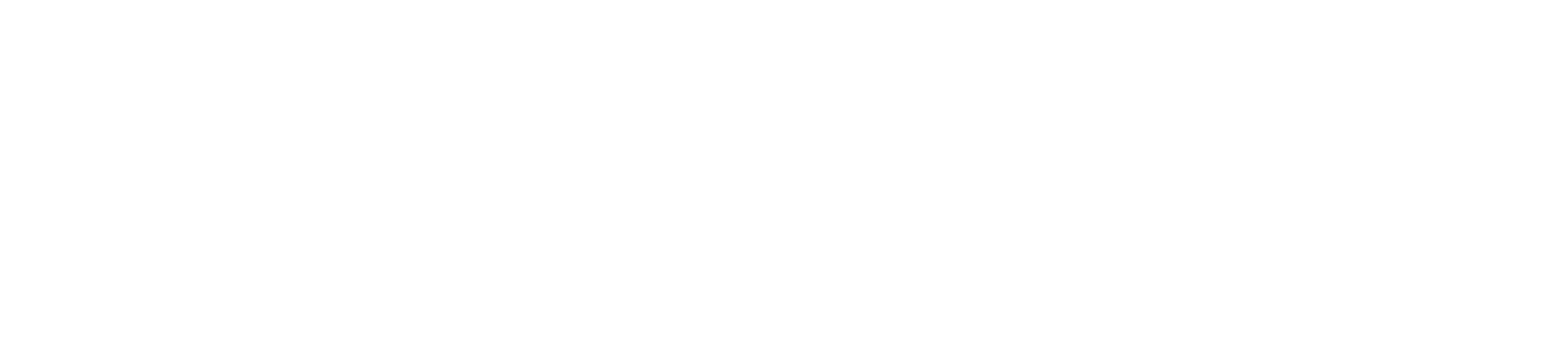 Gemini Sound logo